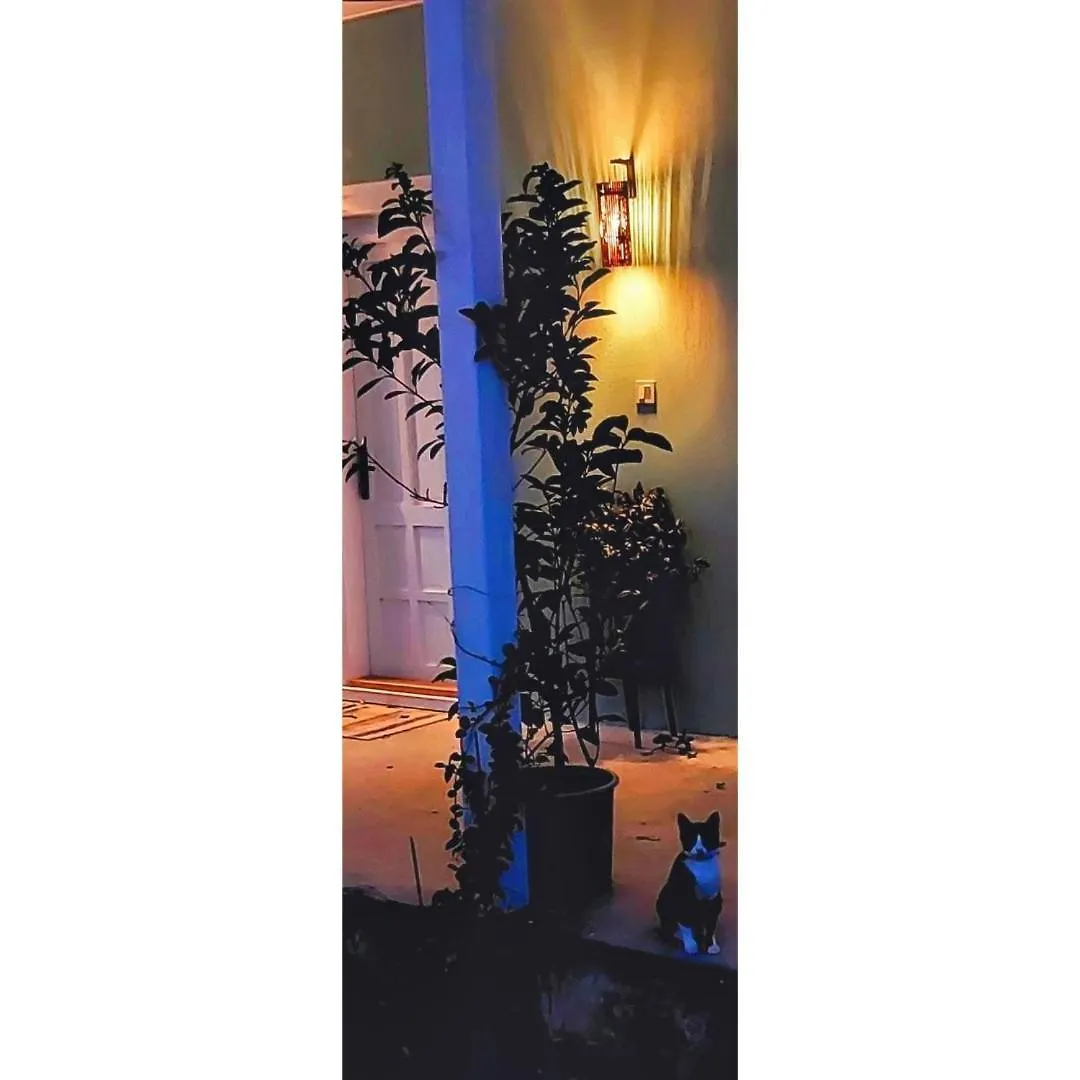 Semesterbostad Voda Suite Bergama Turkiet